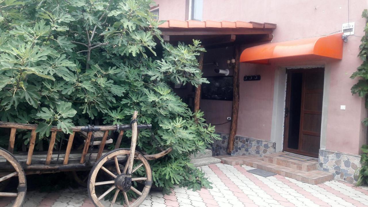Arad Apartment - Airport Area Buitenkant foto